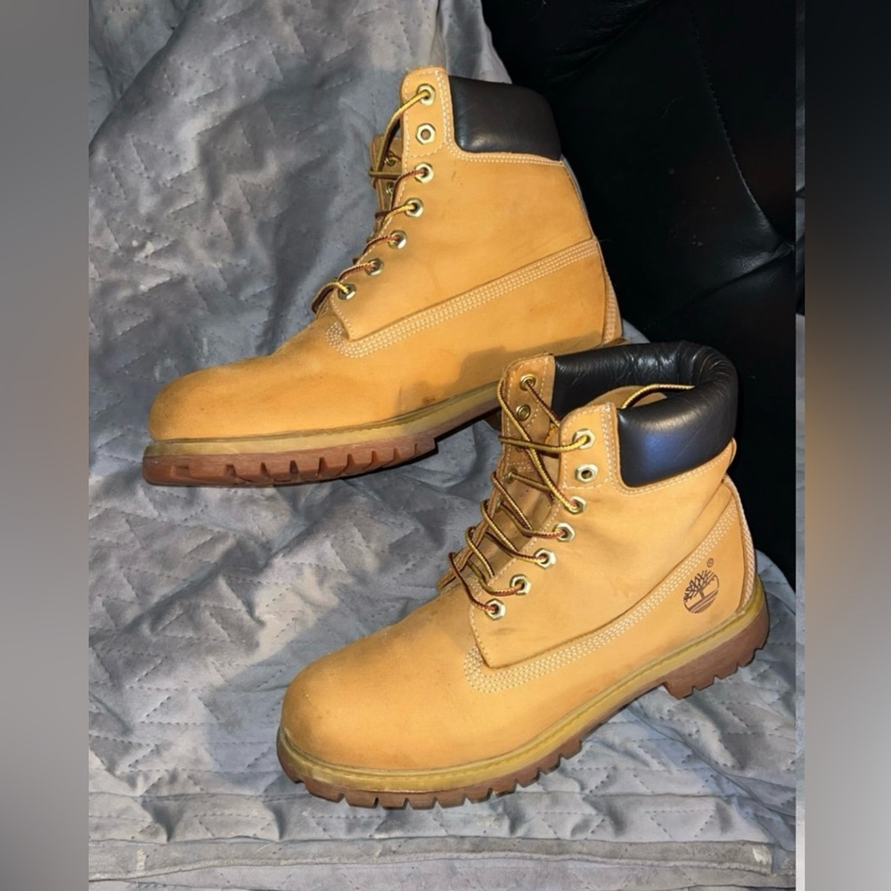 Men's Timberland Premium 6-Inch